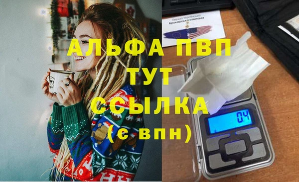 ГАЛЛЮЦИНОГЕННЫЕ ГРИБЫ Магас