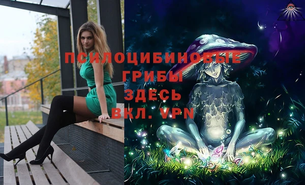ГАЛЛЮЦИНОГЕННЫЕ ГРИБЫ Магас