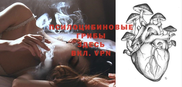 2c-b Майский
