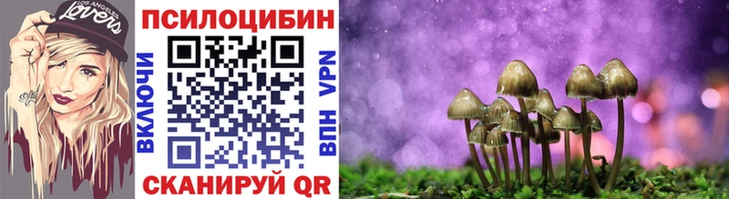 магазин продажи наркотиков  Оренбург  omg зеркало  Галлюциногенные грибы Cubensis 